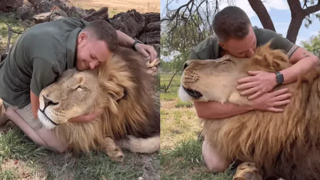 viral-video-man-cuddles-and-kisses-lion-like-a-house-cat-internet-has-mixed-feelings